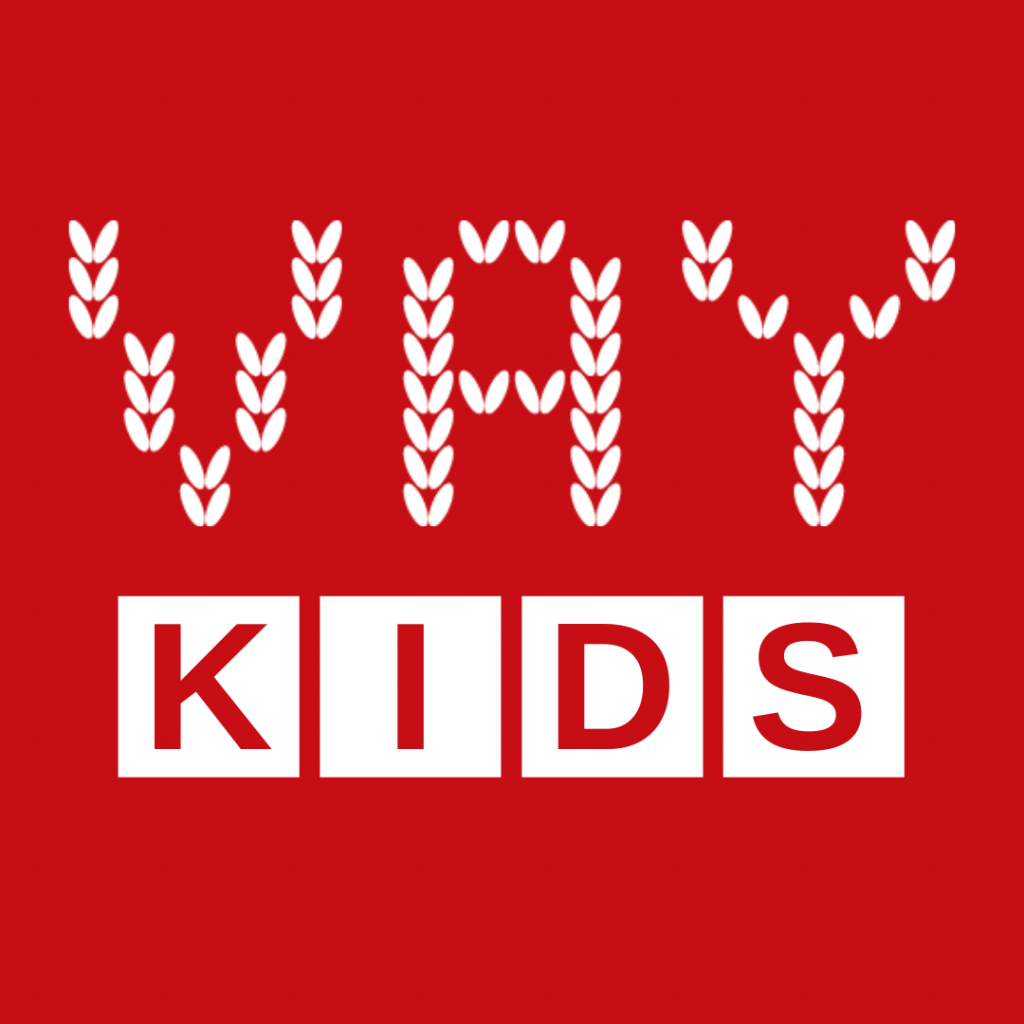 Логотип бренда VAY KIDS