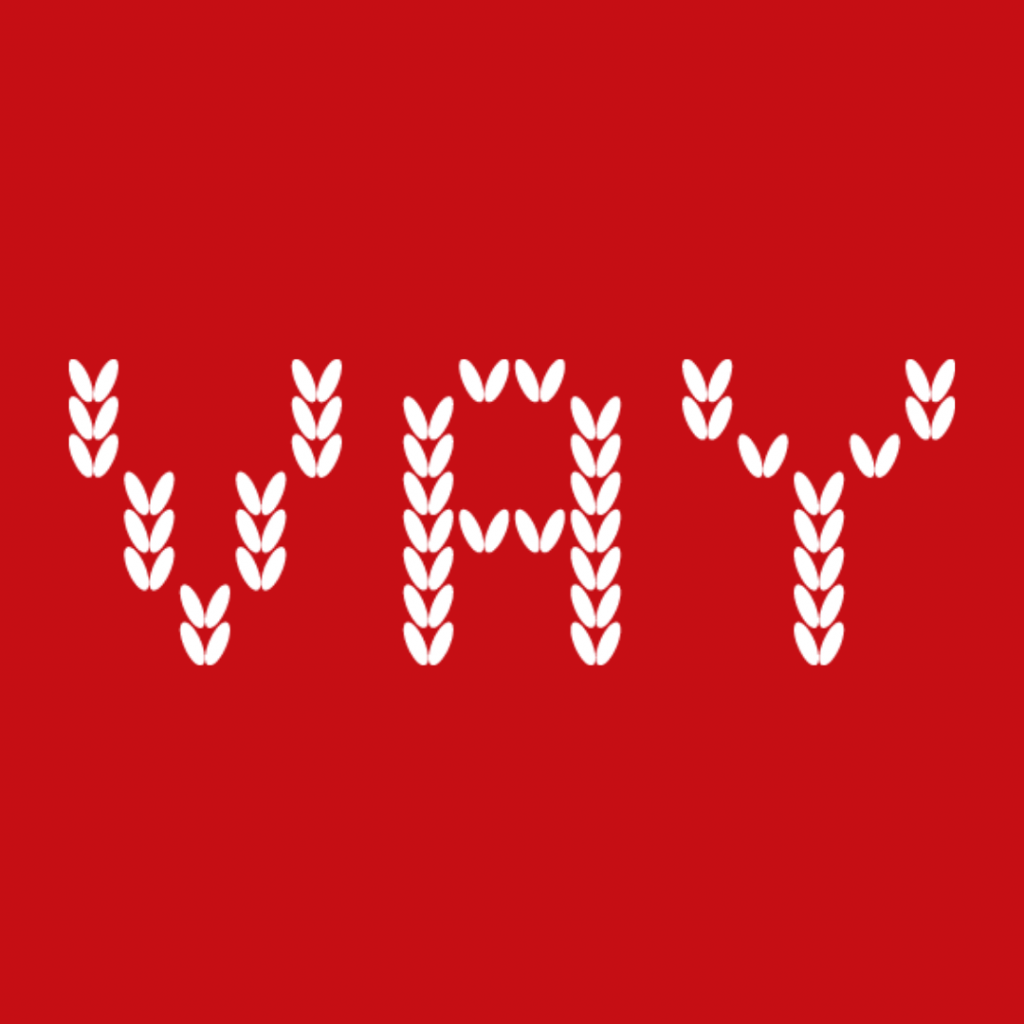 Логотип бренда VAY